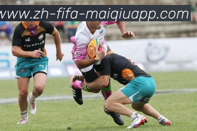 2026世界杯买球APP 高清赛事图